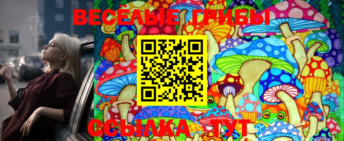 Каменка  Псилоцибиновые грибы Psilocybe  Вход с VPN  Галлюциногенные грибы ЛСД 