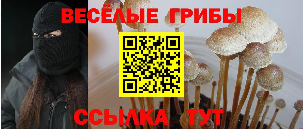 Псилоцибиновые грибы мухоморы Каменка